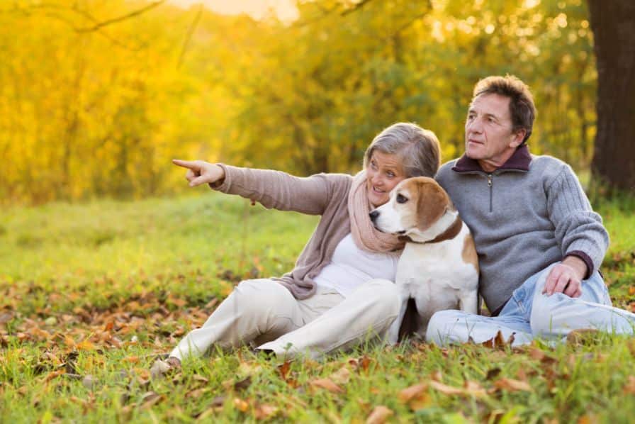 dog friendly community