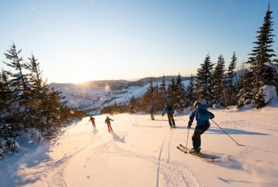 Group of friends skiing