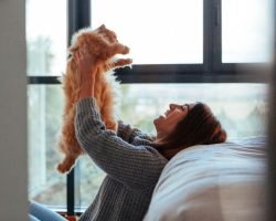 cat pet policy vcm community cat pet policy vcm community
