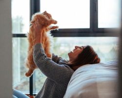 cat pet policy vcm community